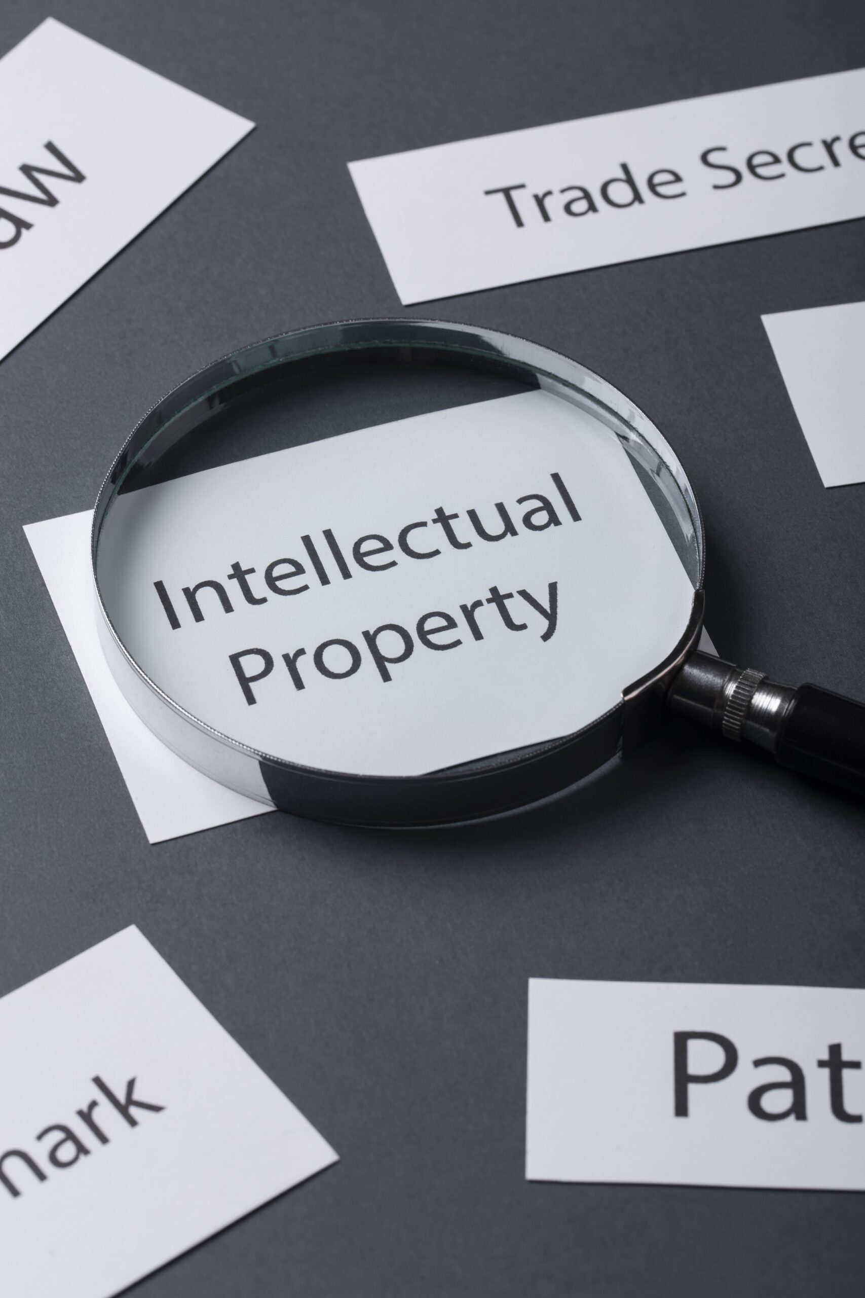 still-life-world-intellectual-property-day-min